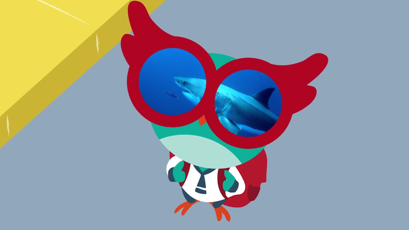 Wakata19.png